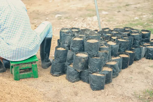 substratos-para-plantas