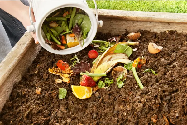 como-fazer-compostagem-domestica
