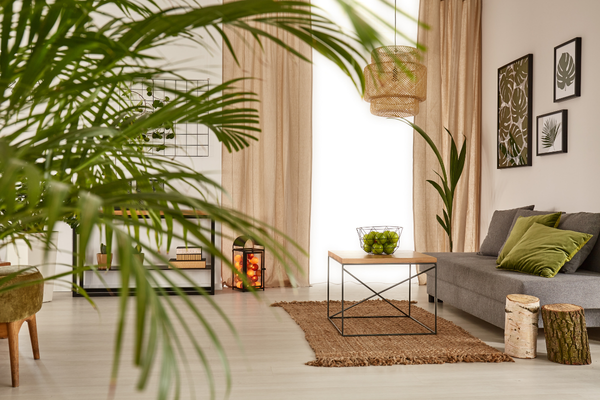 plantas-para-apartamentos
