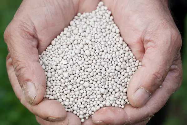 fertilizante-para-bonsai