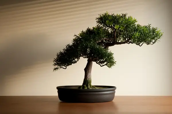 enxerto-de-bonsai