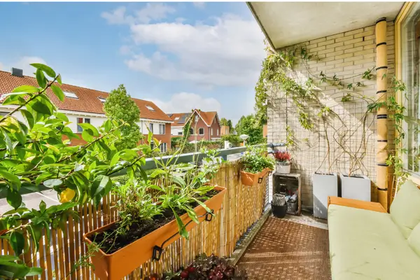 plantas-para-varandas-pequenas