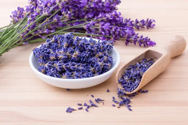 lavanda