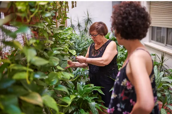 como-cuidar-de-plantas