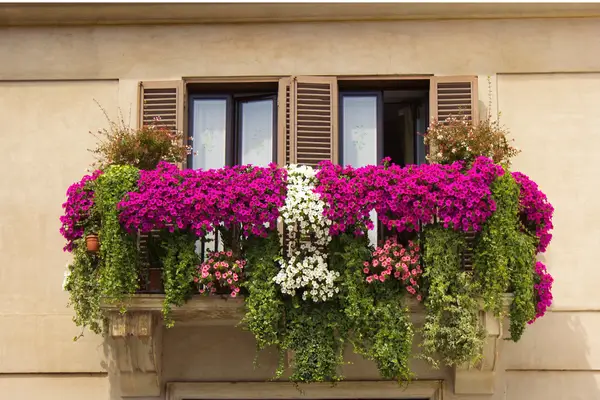 como-decorar-a-varanda-com-plantas