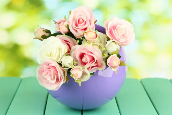 como-cultivar-rosa-em-vaso